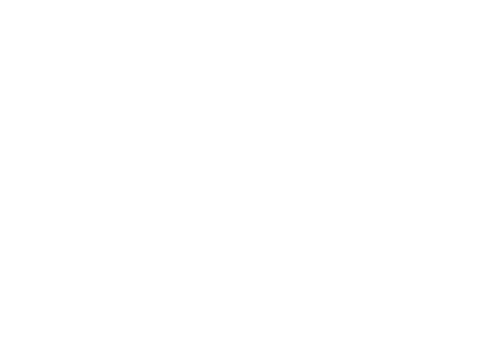 Villa Misiek